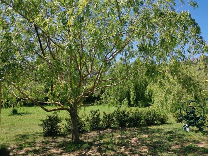 Gîte pour 2 personnes, avec jardin et jacuzzi à Saint-André-de-Roquelongue - 2