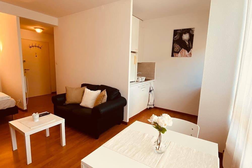 Studio del centro di Basilea in Basilea, Aargau-Basel