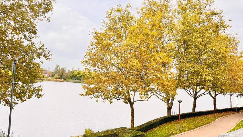 Gîte pour 5 personnes, avec vue dans Lac De Creteil Creteil - 4