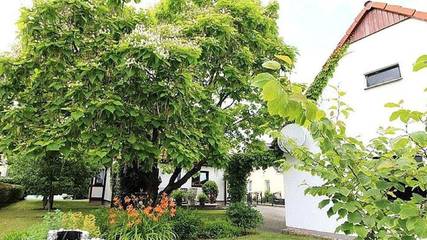 Ferienhaus für 7 Personen in Lübbenau, Spreewald, Bild 1