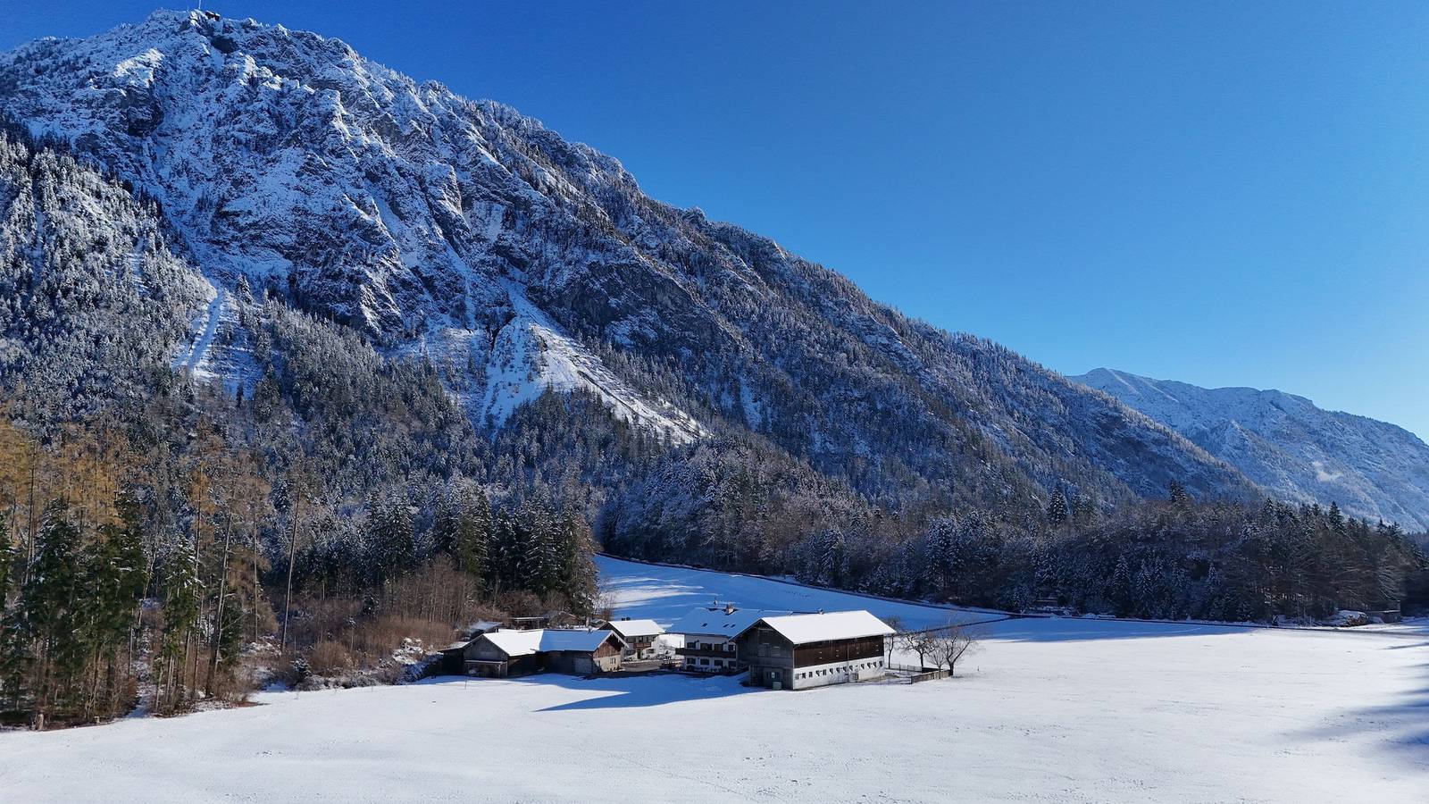 Ganze Ferienwohnung, Knoglerhof inkl. Chiemgaukarte - 1 Appartement 35qm, Balkon, Kochnische, 1 Wohnschlafzimmer, max 2 Pers, Wlan in Ruhpolding, Bayerische Alpen