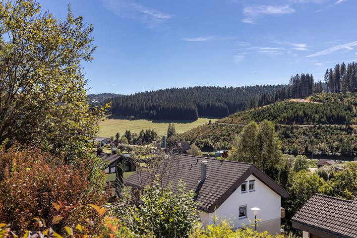 Ganze Wohnung, Ferienwohnung Regina" mit Gemeinschaftsgarten, Balkon und Wlan in Furtwangen ort, Furtwangen