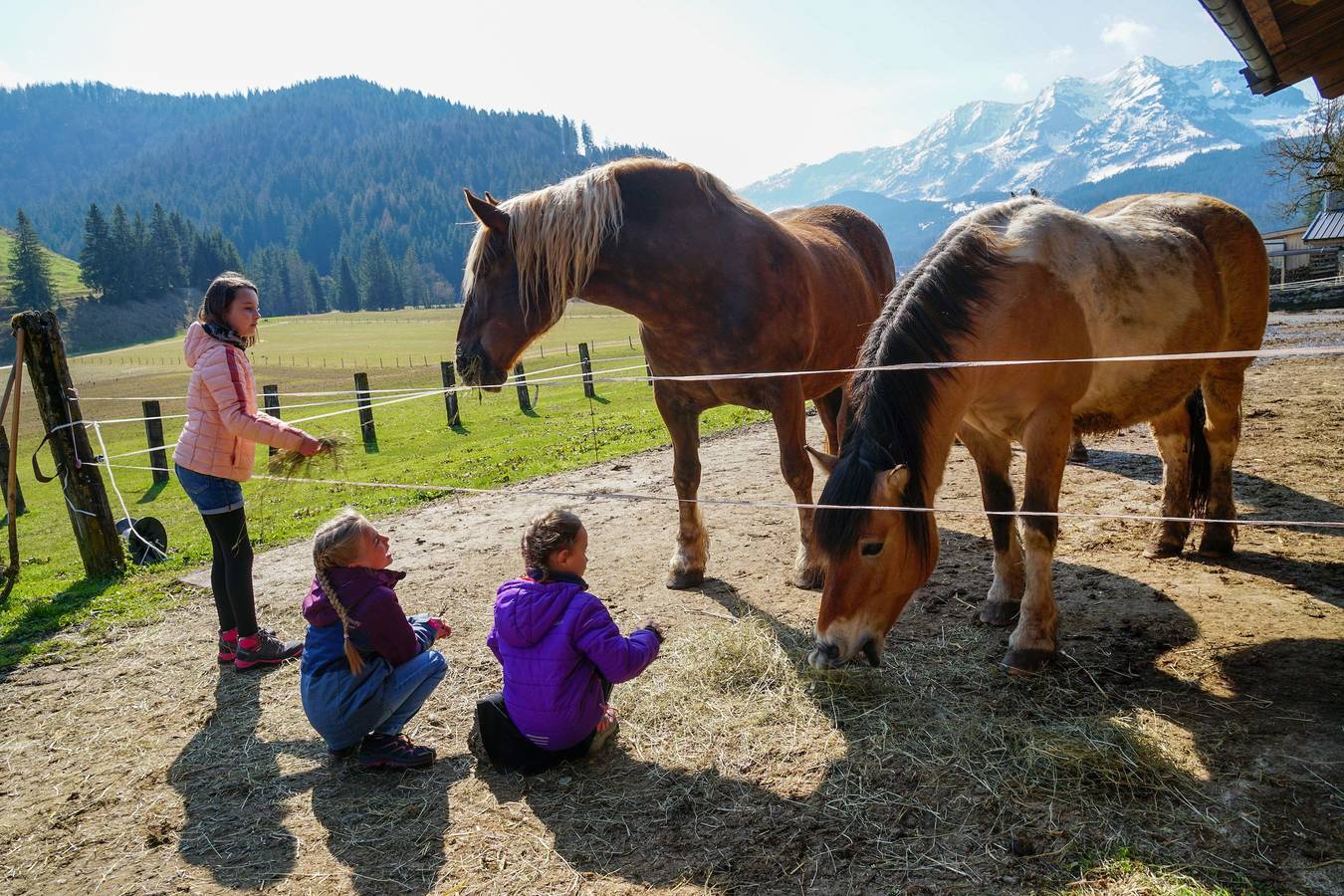 Ganze Ferienwohnung, Ferienwohnung Buchensteinwand in Hochfilzen, Kitzbüheler Alpen