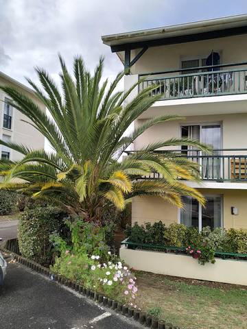 Gîte pour 2 personnes, avec terrasse à Saint-Paul-lès-Dax