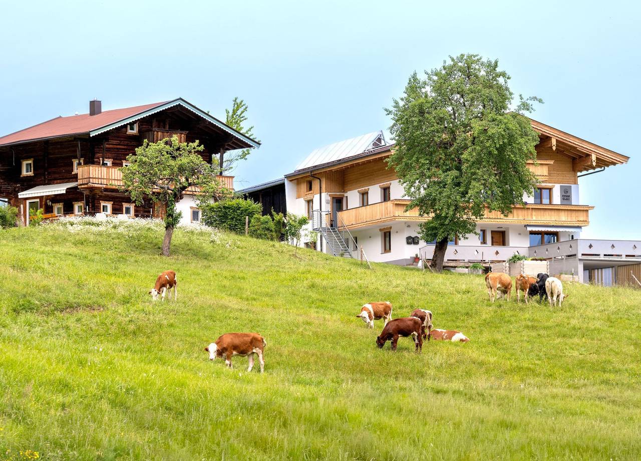Ganze Ferienwohnung, 3-Raum Appartement für bis zu 4 Personen in Fieberbrunn, Bezirk Kitzbühel