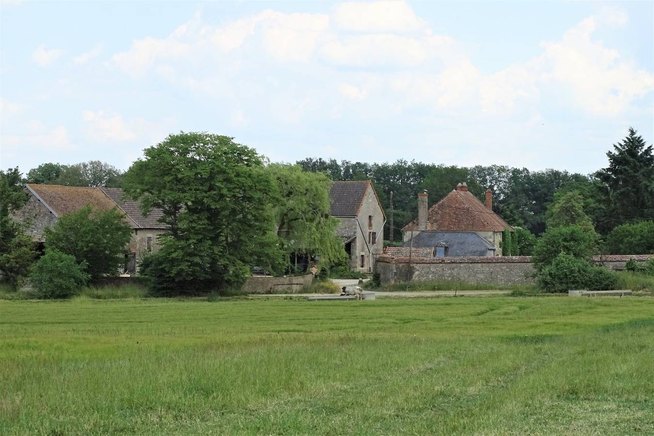 Gite la Tourpimpeau in Alligny-Cosne, Vallée de la Loire