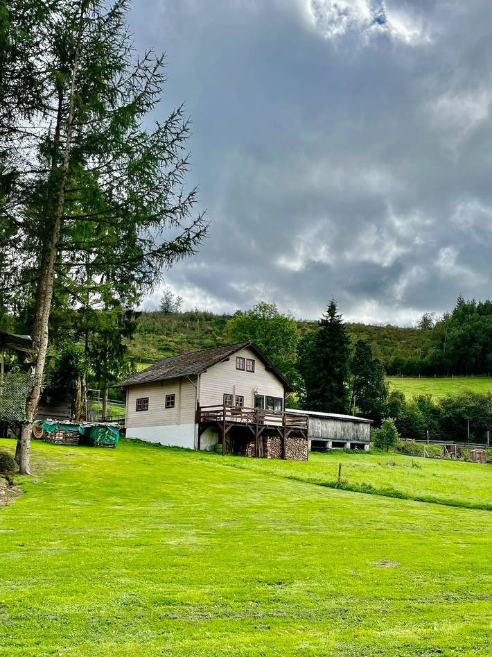 Ferienhaus für 6 Personen, mit Garten und Ausblick sowie Terrasse, mit Haustier in der Eifel - 3
