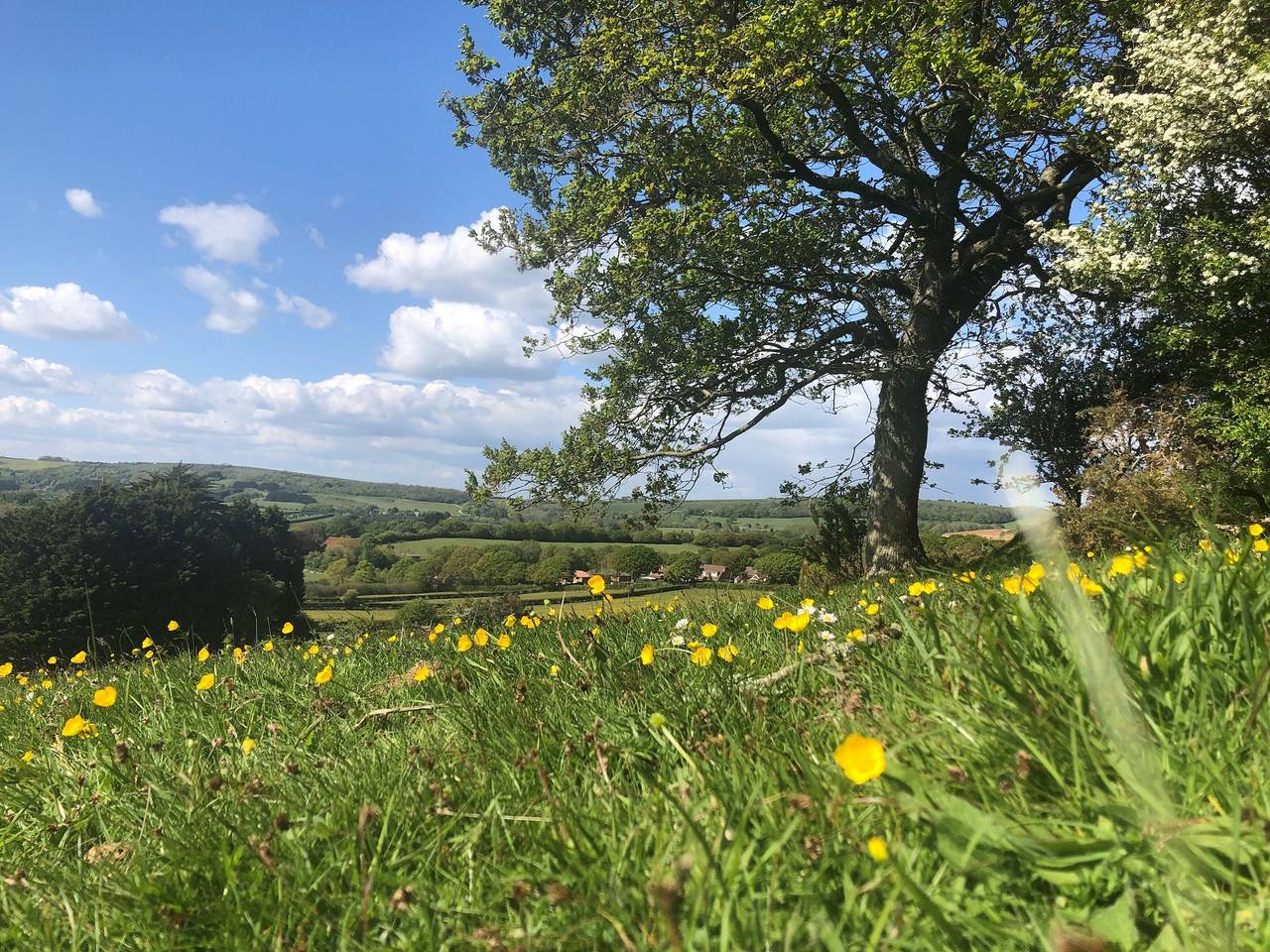 Queen Bower Farm Lodge in Newchurch (Isle of Wight), Isle of Wight