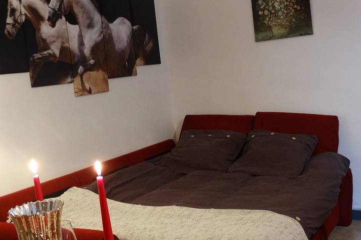 Gîte pour 4 personnes, avec terrasse dans Château de Saumur - 4