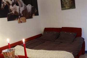 Gîte pour 4 Personnes dans Saumur, Région de Saumur, Photo 3