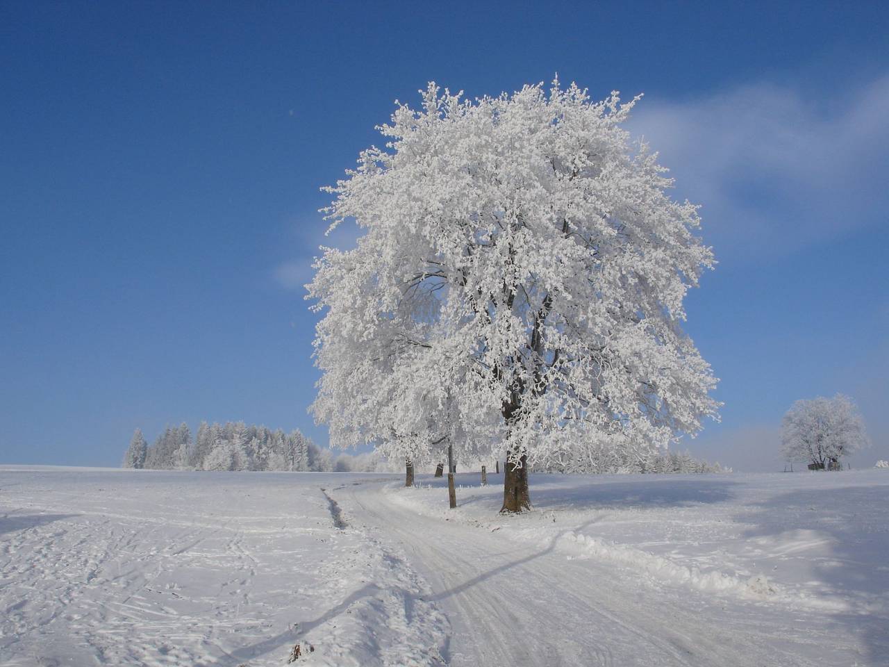Charmantes, traditionelles Holzhaus in Jestřabí v Krkonoších, Monts des Géants