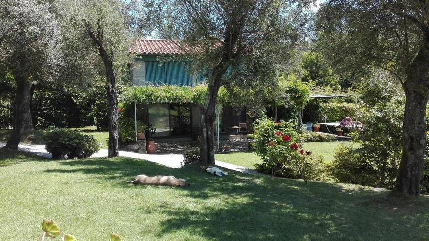Location de vacances pour 2 personnes, avec Terrasse et Jardin ainsi que Piscine et Vue dans Briteiros