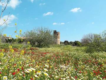 Villa in Porreres, Mallorca Süden für 6 