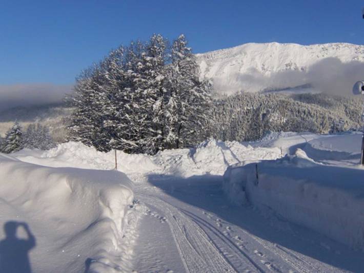 Bauernhaus für 3 Personen, mit Balkon und Ausblick sowie Pool und Garten im Salzburger Land - 4