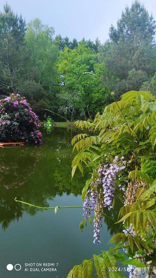 Location de vacances pour 10 personnes, avec jardin et terrasse ainsi que piscine et vue, animaux acceptés dans Sabres - 2