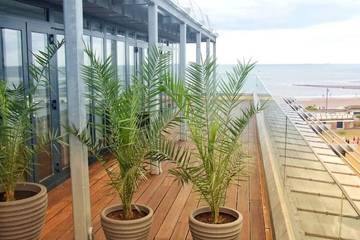 Apartment for 6 People in Teignmouth, Devon, Photo 3