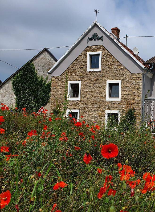 Ferienhaus am Eifelsteig in Blankenheim, Naturpark Hohes Venn-Eifel
