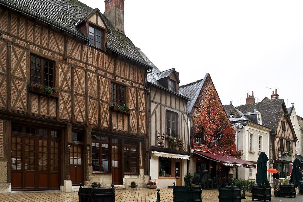 Entire apartment, Independent apartment in Amboise in Nazelles-Négron, Tours region