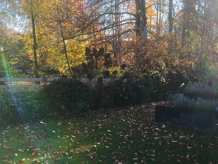Ganze Ferienwohnung, Ferienwohnung am Bach in Hamminkeln, Naturpark Hohe Mark - Westmünsterland