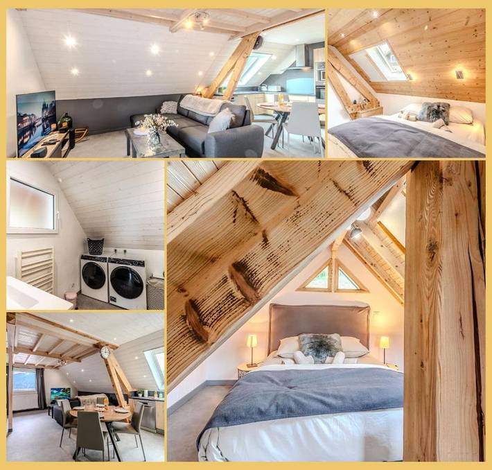 Gîte pour 4 personnes, avec terrasse et jardin à Viuz-en-Sallaz - 3