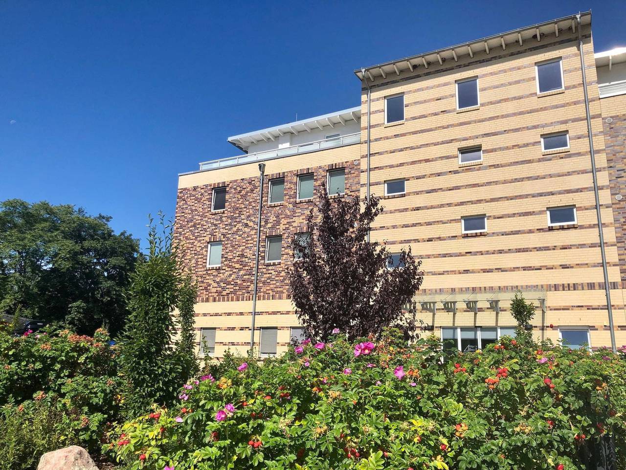 Ganze Ferienwohnung, Käptn Brass App 27 - Id 45269 - Käpt`n Brass App.27 in Dierhagen Strand, Dierhagen