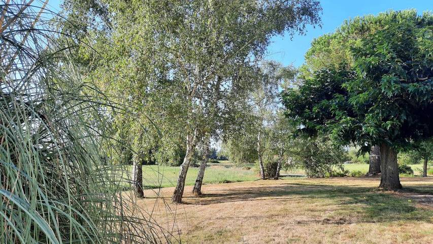 Gîte pour 9 personnes, avec jardin et terrasse, animaux acceptés dans Haute-Garonne - 2