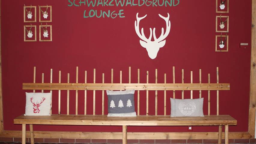 Gîte pour 3 personnes, avec piscine ainsi que balcon et sauna, animaux acceptés à Baiersbronn - 4