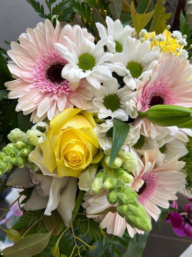 Gîte pour 6 personnes, avec jardin dans Paredes de Coura - 3