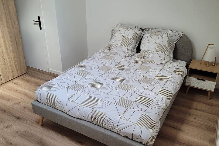 Entire apartment, 3-Bedroom, 3-Bathroom Apartment in Downtown Saint-Étienne in Saint-Étienne, Loire
