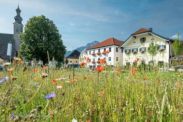 Ferienwohnung für 4 Personen, mit Balkon/Terrasse und Balkon in Anger
