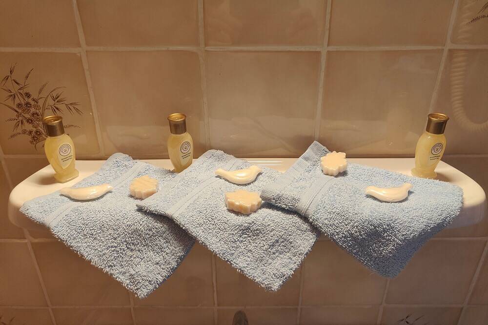 Entire apartment, Chambre « Domaine du Noyer » with Shared Terrace, Balcony, and Wi-Fi in La Vôge-les-Bains, Épinal region