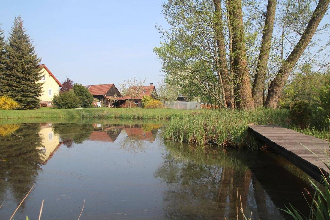 Ganze Wohnung, Ferienwohnung Weidengrund Burg Kauper in Byhleguhre, Byhleguhre-Byhlen
