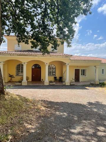 Gîte pour 4 personnes, avec vue ainsi que piscine et terrasse à Poggio-d'Oletta