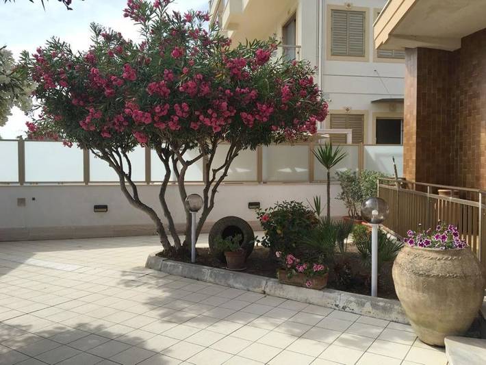 Gîte pour 9 personnes, avec jardin ainsi que vue et balcon à San Leone - 4