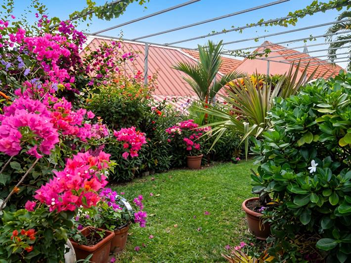 Entire apartment, Cozy apartment in Sainte Anne, 30 m² with garden in Sainte-Anne, Martinique