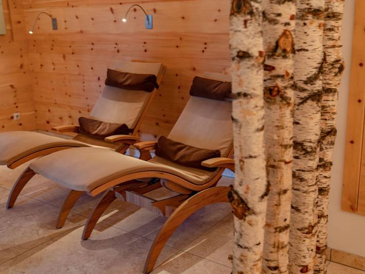 Hütte für 3 Personen, mit Terrasse in Rohrmoos