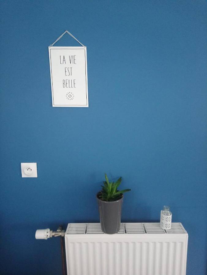 Location de vacances pour 2 personnes, avec jardin à Bruay-la-Buissière - 2