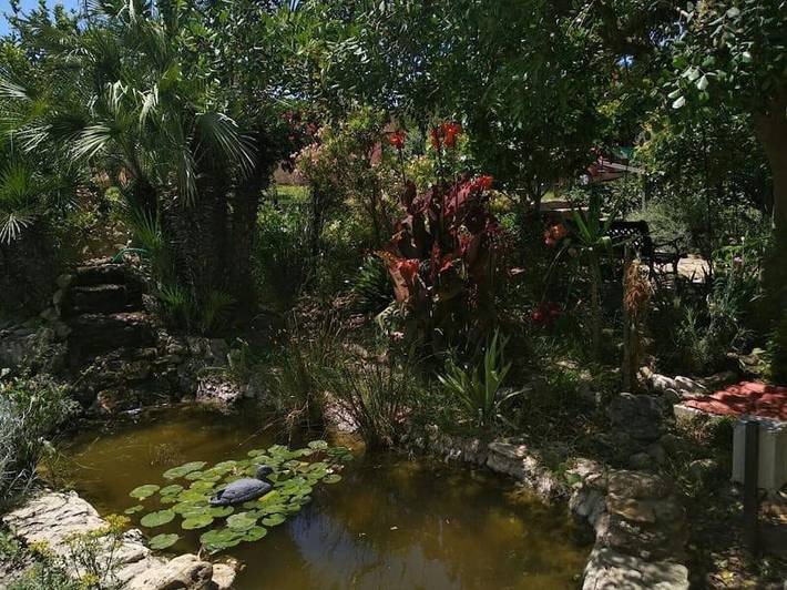 Casa de vacaciones para 2 personas, con vistas además de piscina y jardín en Campiña de Jerez - 3