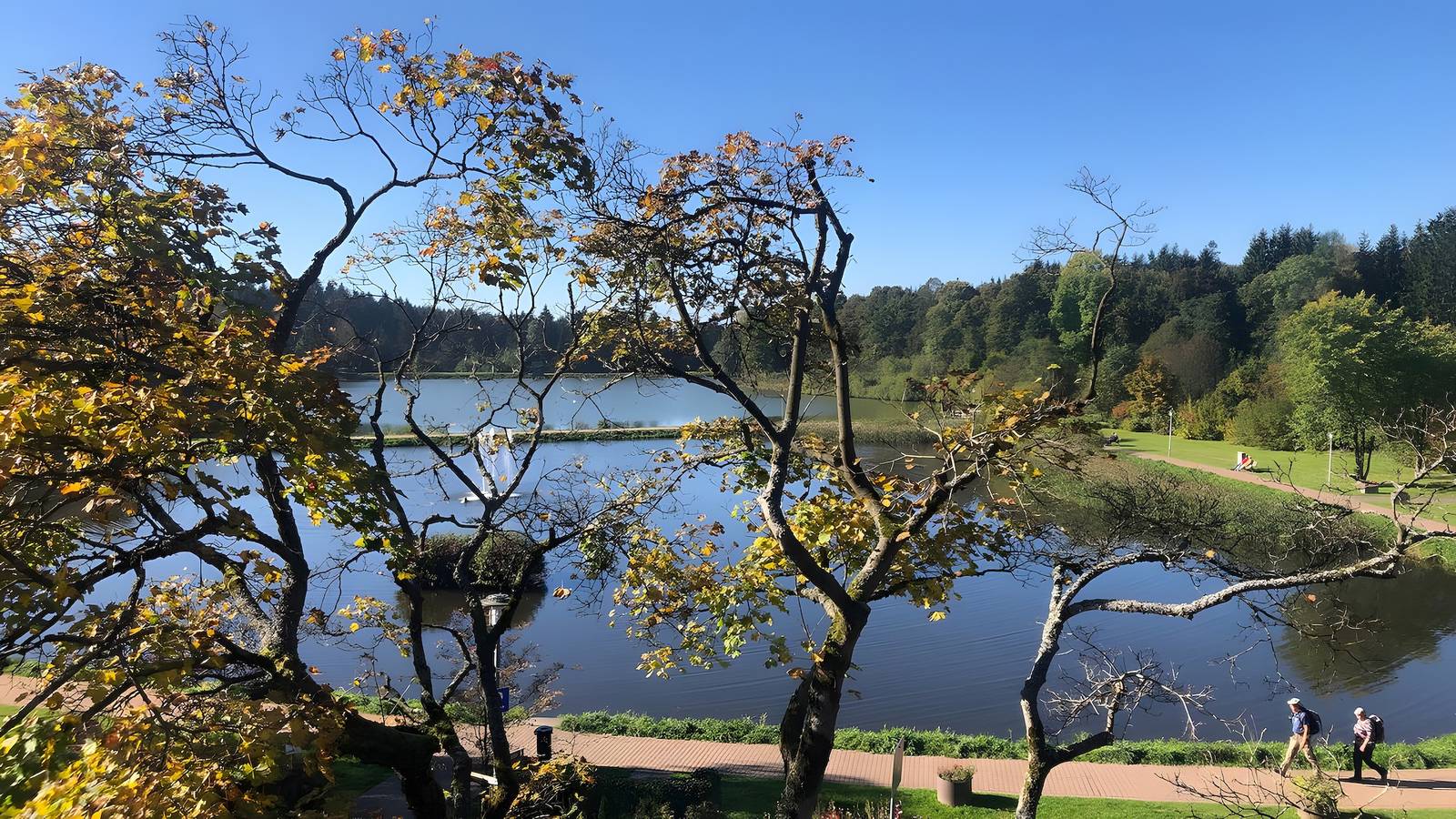 Appartamento intero, Appartamento per 2 persone a Goslar Hahnenklee direttamente sul lago Kranichsee in Hahnenklee, Goslar