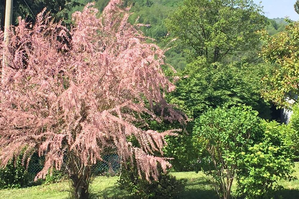 Stay in the Apennines in Monghidoro, Alta Via dei Parchi