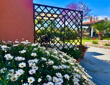 Cottage pour 4 personnes, avec jardin dans Grèce-Occidentale