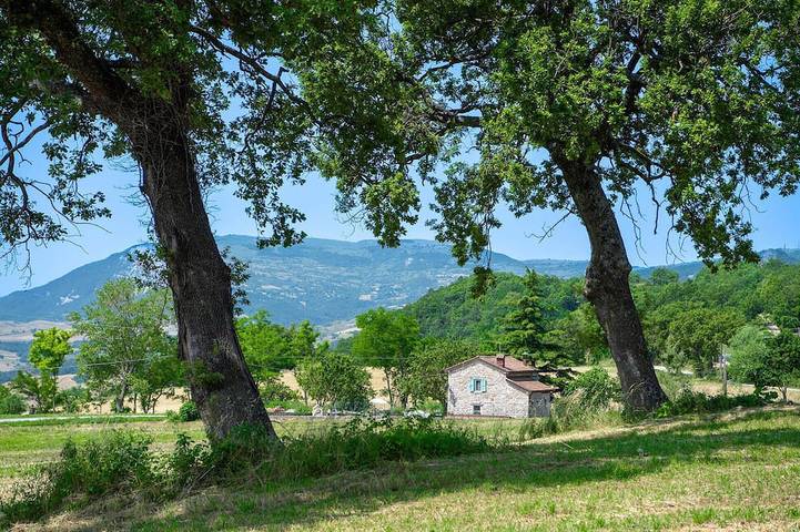 Maison de vacances pour 6 personnes, avec jardin, animaux acceptés - 1