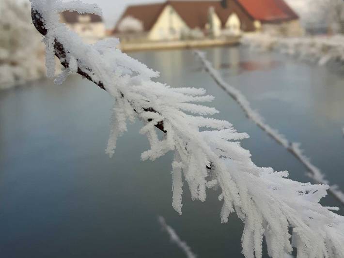 Ferienwohnung für 3 Personen, mit Garten und Seeblick in Kurpfalz - 3