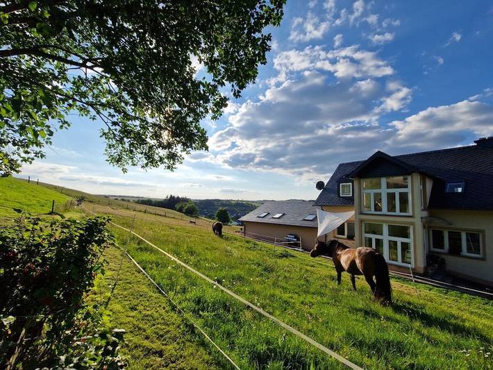 Bauernhof für 9 Personen, mit Terrasse in Plütscheid