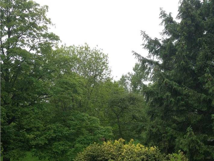 Ferienhaus für 2 Personen, mit Garten in Döse - 3