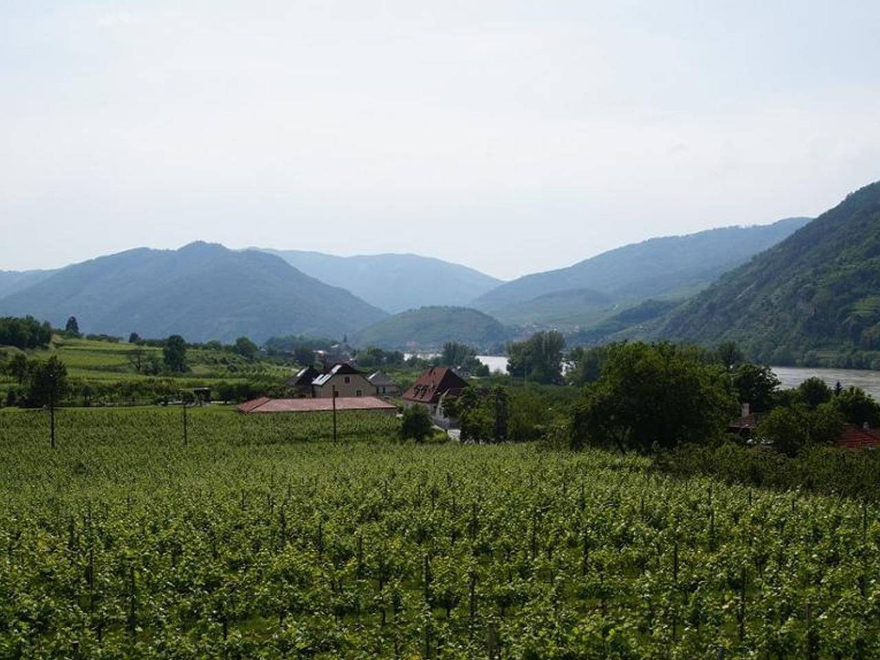 Weinbau und Gästezimmer Pammer - Doppelzimmer (16 qm) mit Terrasse in Rossatz-Arnsdorf, Donau Niederösterreich