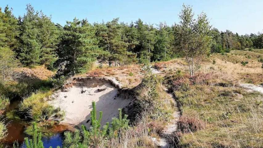 Ferienhaus für 3 Personen, mit Garten, mit Haustier in Aalbæk - 3
