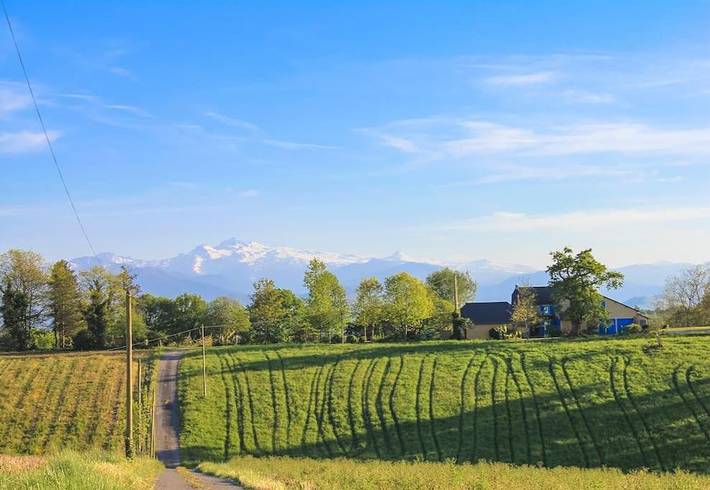 Location de vacances pour 14 personnes, avec vue ainsi que jardin et piscine, animaux acceptés à Oloron-Sainte-Marie - 2