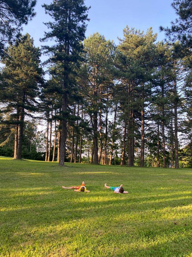 Brvnare Park Borova in Zlatibor, Serbia Centralna