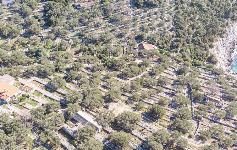 Villa pour 4 personnes, avec jardin et terrasse en Korcula - 4
